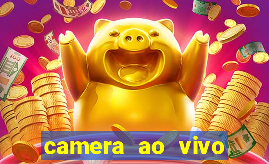 camera ao vivo terminal vila nova cachoeirinha